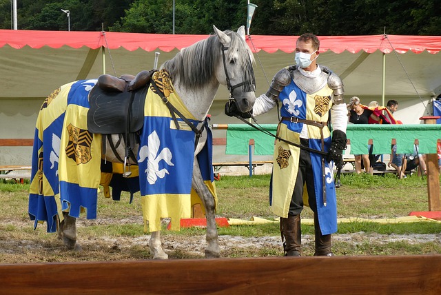 的关卡中 的关卡中