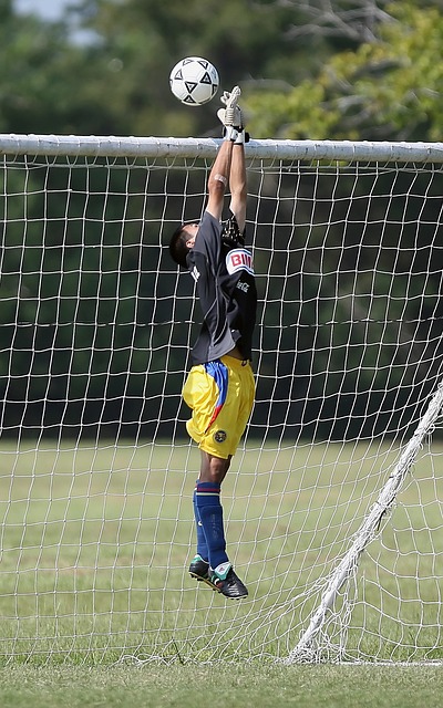 核心球员 核心球员