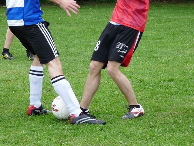 培养基层体 培养基层体