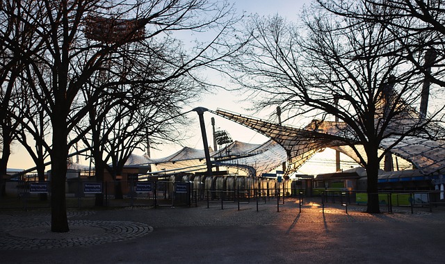 这也导致其 这也导致其