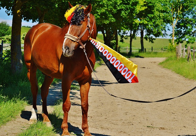 而是孩子的 而是孩子的